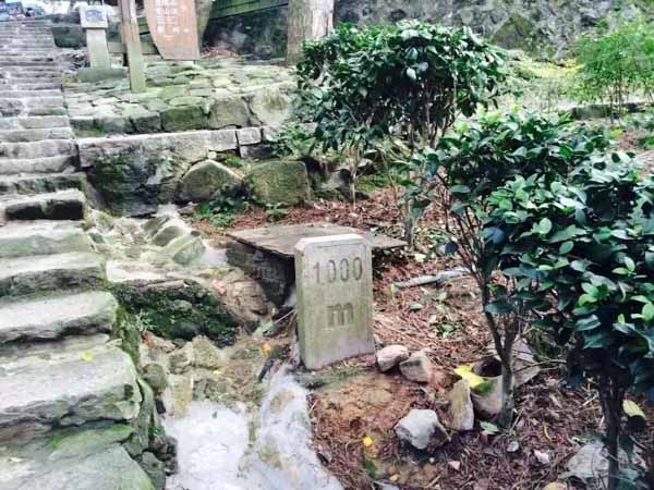 上海浦東律師：生產、銷售假藥罪法益侵害之實質判斷