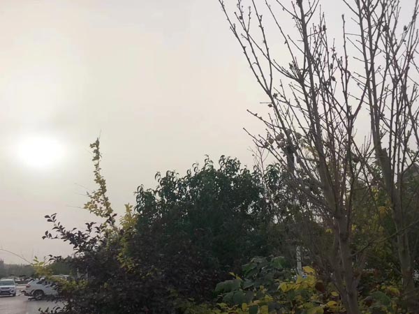 上海債務(wù)糾紛律師解答：父親去世后，欠下的債到底誰來償還