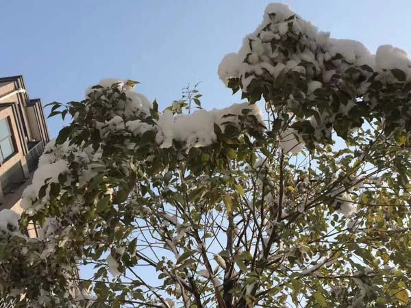 黃浦區(qū)律師提醒：在處理親子關系異議時應注意這幾個問題